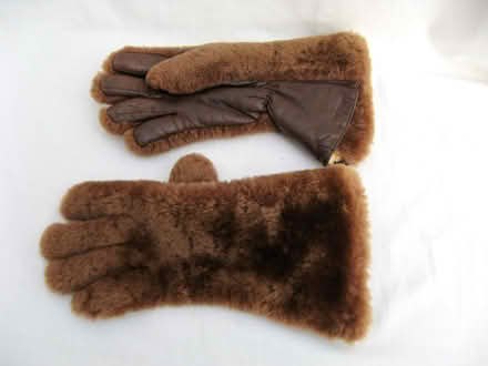 Photo of free Large furry gauntlets (Croham CR2) #1