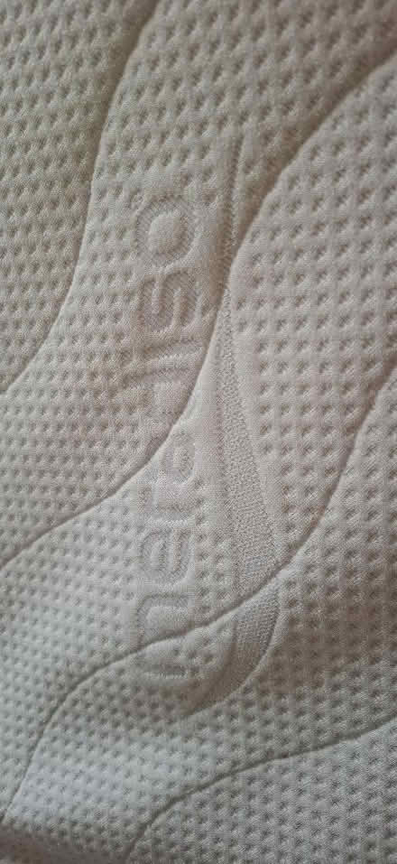 Photo of free Single mattress topper (Polegate BN26) #4