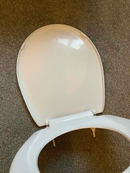 Photo of free Toilet seat (Larkhall) #4