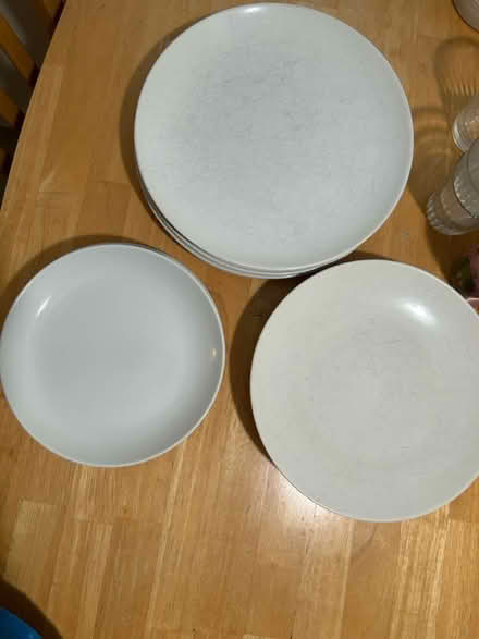 Photo of free Plates and cups (Los Gatos Blvd x Lark) #2
