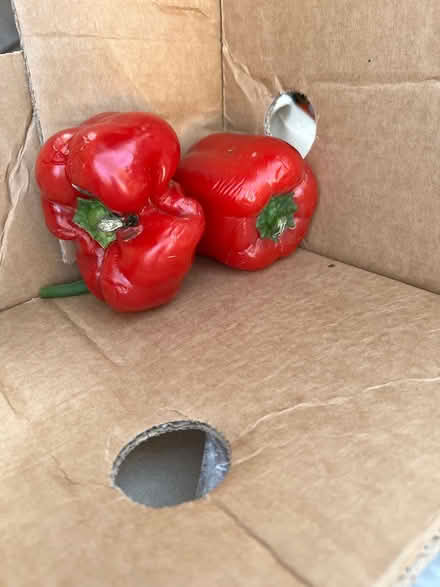 Photo of free Greenacres flea market (Greenacres flea market) #2