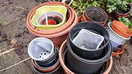 Photo of free Plastic plant pots various sizes (Castle MK40) #2