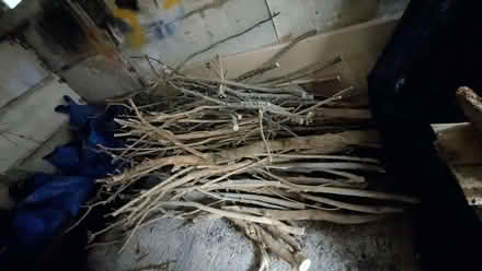 Photo of free Firewood/BBQ wood- WF2 (Walton WF2) #2