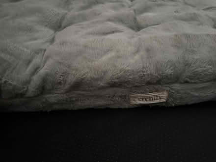 Photo of free Medium dog bed (Borehamwood, WD6) #1