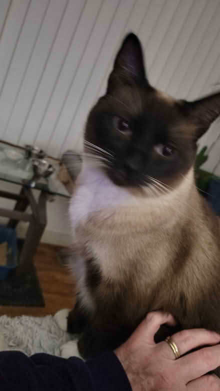 Photo of Nail clipping (Haller Lake neighborhood) #2