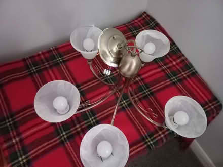 Photo of free 2 Pendant ceiling lights (Abberton CO5) #2