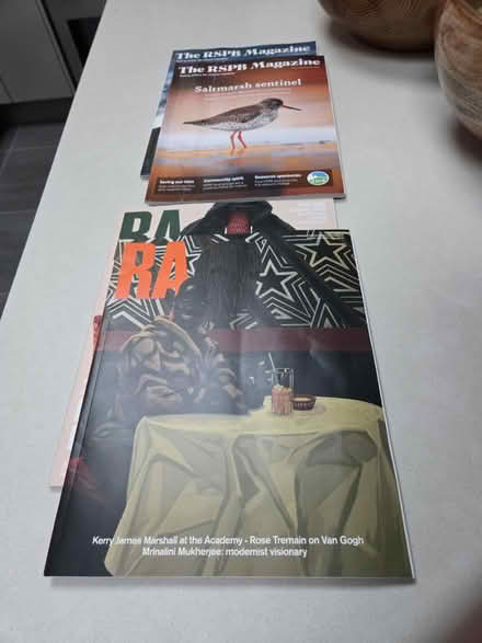 Photo of free Magazines RHS RA Car Guide RSPB (SE13) #1