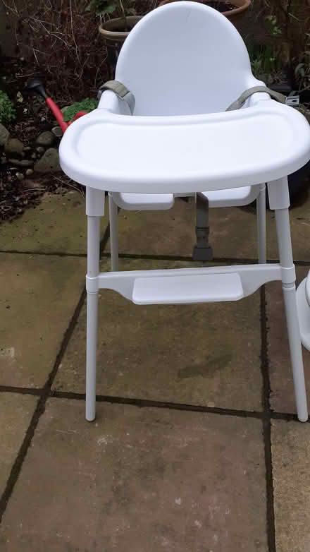 Photo of free Babies highchair and potty (Heath Cardiff) #3