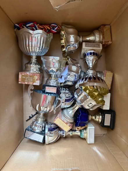 Photo of free Trophies (Earls Court) #1