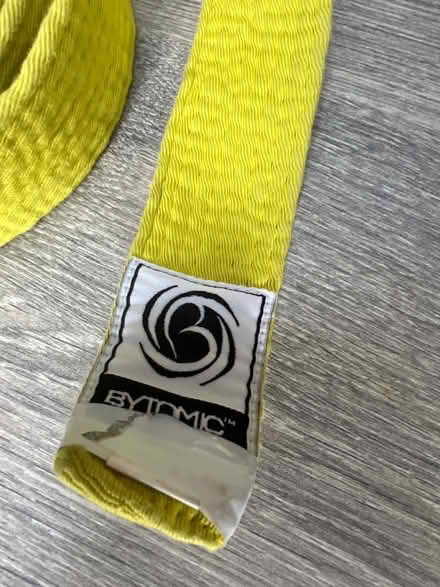 Photo of free 2 Martial Arts belts (Southsea PO4) #2