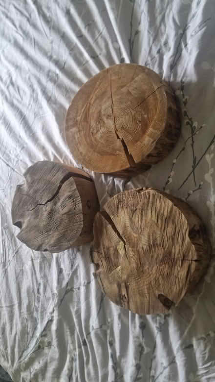 Photo of free Wooden blocks (Kirk Hallam DE7) #1