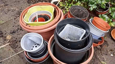 Photo of free Plastic plant pots various sizes (Castle MK40) #1