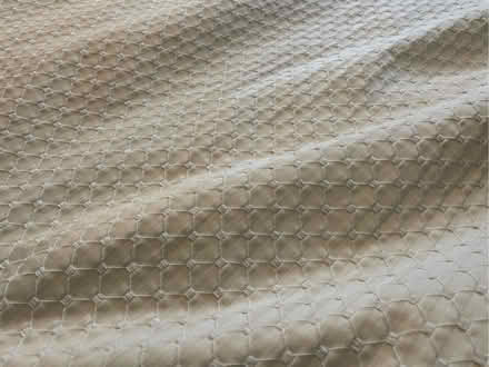 Photo of free Curtains (Sherwood TN2) #2