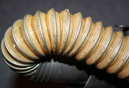 Photo of free Dyson DC-25 Bagless Upright Vacuum Cleaner (Barrow upon Soar LE12) #2