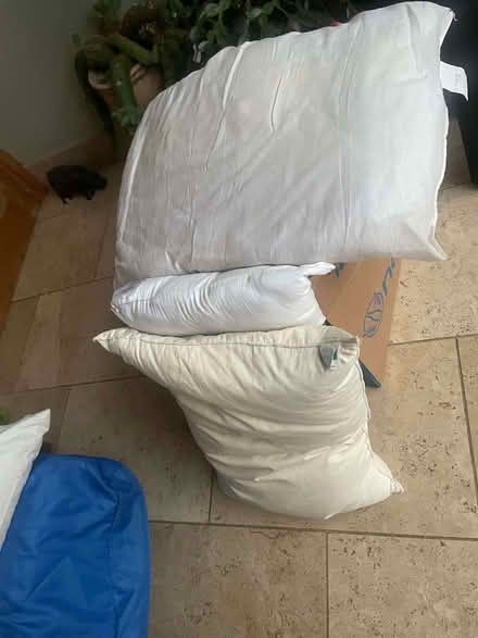 Photo of free Old pillows mostly synthetic (Dutton PR3) #1
