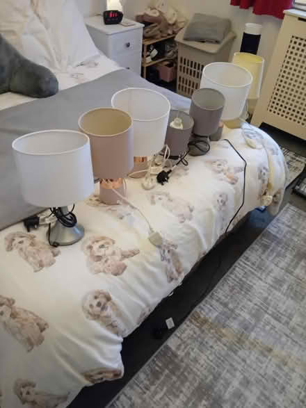 Photo of free Lamps x7.and some books (Bracknell & other areas) #1