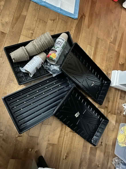 Photo of free Indoor seed starter trays (Pineview) #1