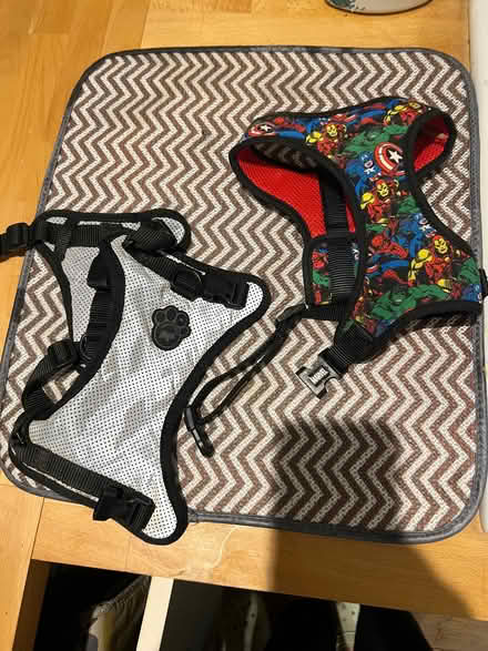 Photo of free 2 small dog harnesses , fitted small cockapoo (Coleridge Ward CB1) #1