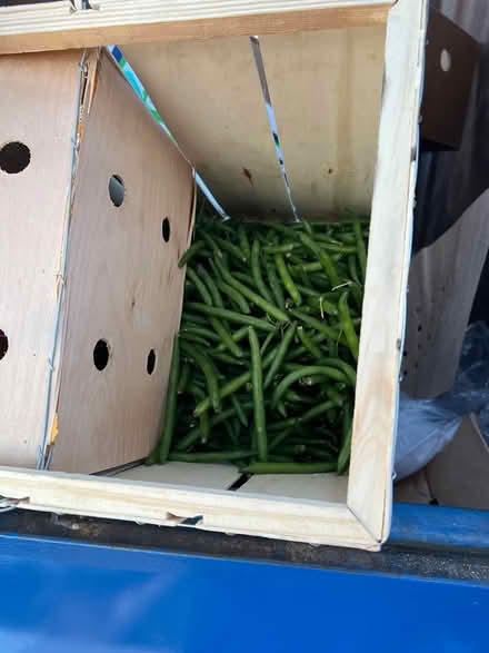 Photo of free Greenacres flea market (Greenacres flea market) #3