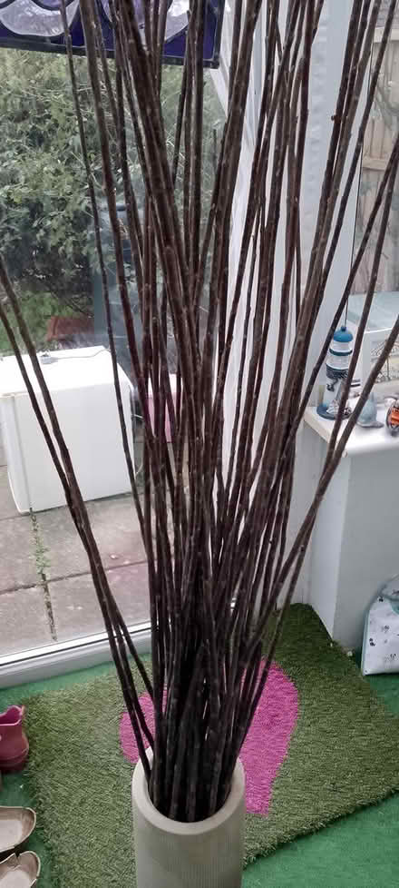 Photo of free Tall Pot with Reeds (St George Bristol BS5) #2