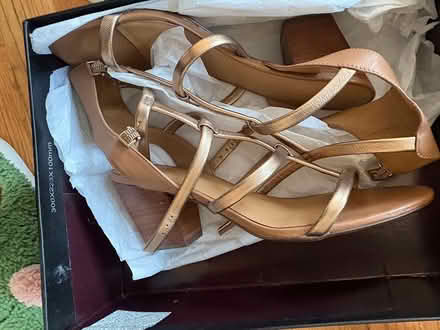 Photo of free Woman’s sandal and shoe boot (University Heights) #2