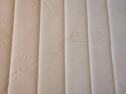 Photo of free King size Sealy mattress (Bristol BS3) #3