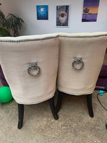 Photo of free Chairs (Royston) #2