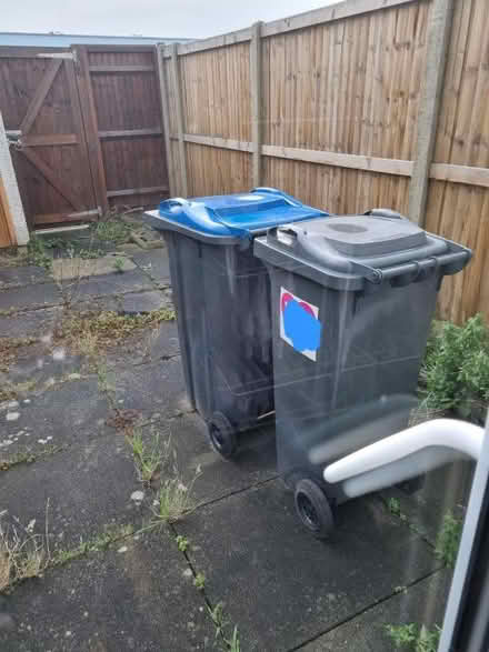 Photo of free 2 wheelie bins (Mitcham CR4) #1
