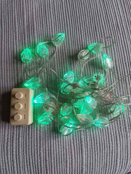 Photo of free Fairy lights (Divinity Road OX4) #1