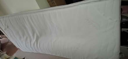 Photo of free Single mattress topper (Polegate BN26) #1