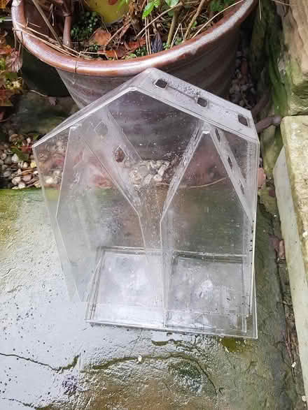 Photo of free Indoor plant propagator (Sheffield 2) #1