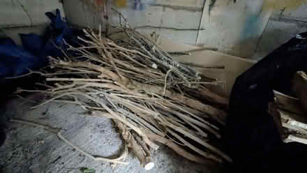 Photo of free Firewood/BBQ wood- WF2 (Walton WF2) #1