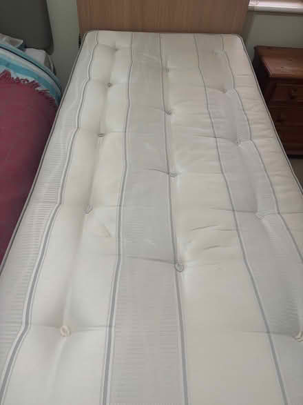 Photo of free Single mattress (West Marina TN38) #1