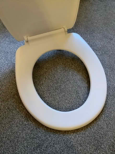 Photo of free Toilet seat (Larkhall) #1