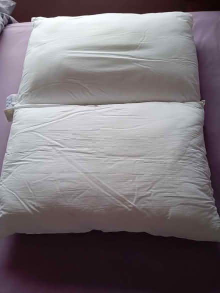 Photo of free Pillows (Greenford UB6) #1
