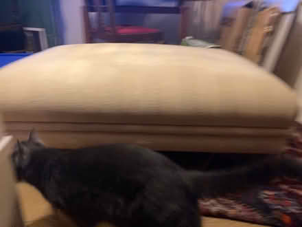 Photo of free large solid Poofe (Glastonbury BA6) #3