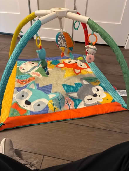 Photo of free Infant Playtime Mat (Sauganash south of Rogers Ave) #1
