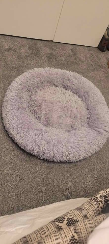 Photo of free Fluffy grey pet bed (Horsforth LS18) #1