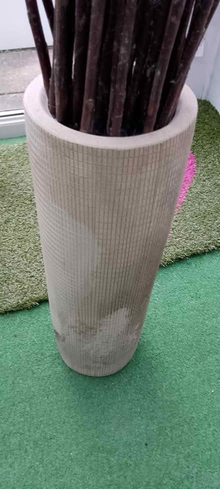 Photo of free Tall Pot with Reeds (St George Bristol BS5) #3