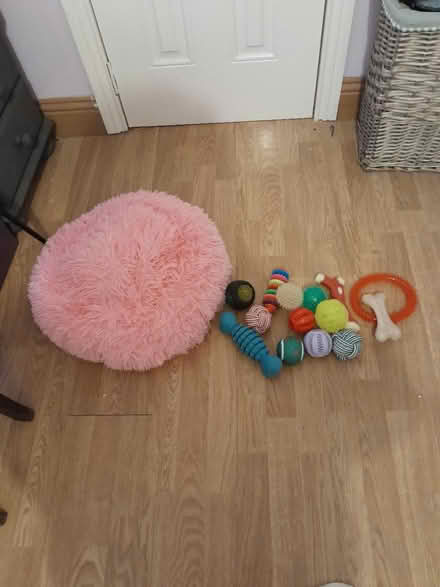 Photo of free Dog bed (East Wall Dublin3) #1