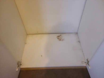Photo of free White wardrobe (Forden SY21) #3