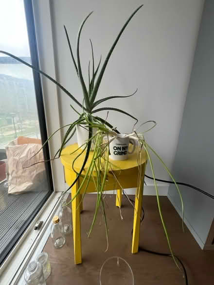 Photo of free Yellow night stand / side table (Elephant & Castle SE17) #1