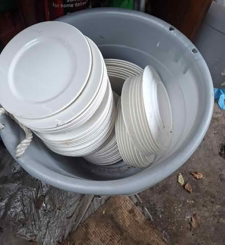 Photo of free Lots of dinner plates (Eaton NR4) #1