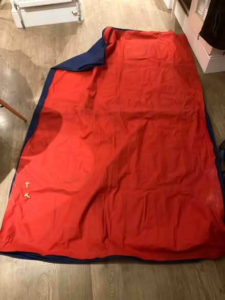 Photo of free Blow up mattress (Twickenham Green) #1