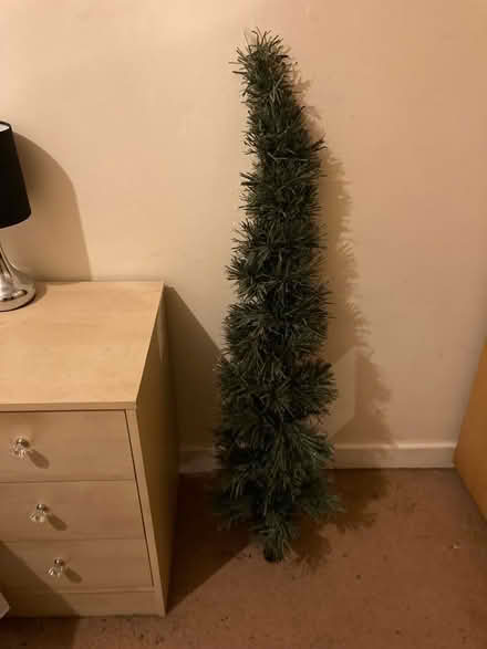 Photo of free Fibre optic Christmas tree (Blacklands TN34) #1