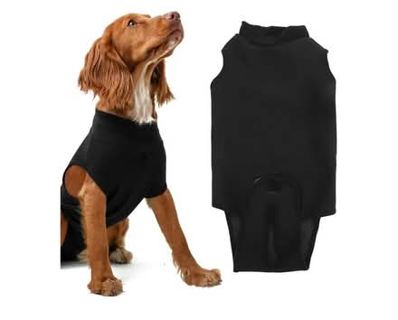 Photo of free Dog recovery shirt - Small (Cumnor OX2) #3