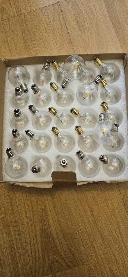 Photo of free Small bulbs-for outdoor festoon lights (Highams Park E4) #1