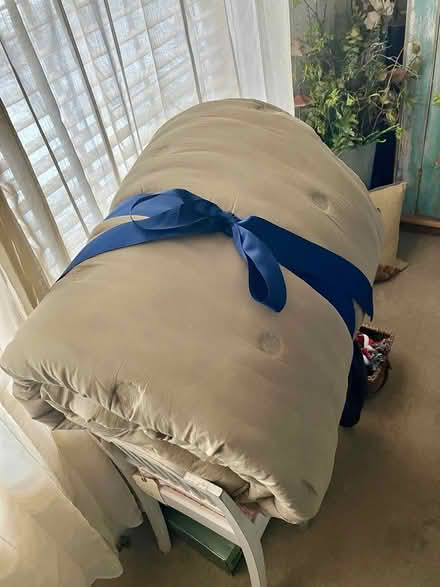 Photo of free ralph lauren king comforter (Lawrenceville NJ) #1