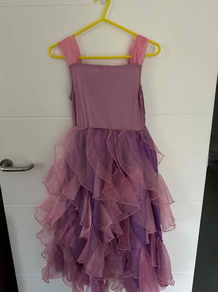 Photo of free Disney Encanto Dress Isabela (BR3) #2