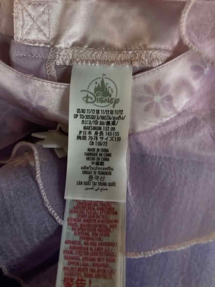 Photo of free Disney Encanto Dress Isabela (BR3) #3